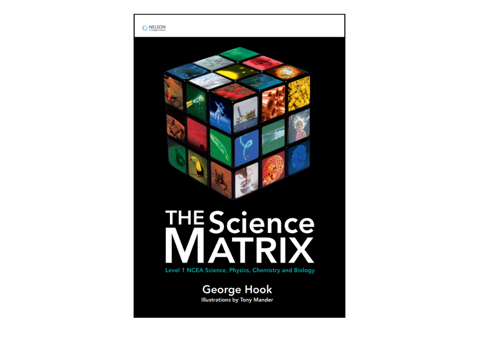 Untitled design (22)